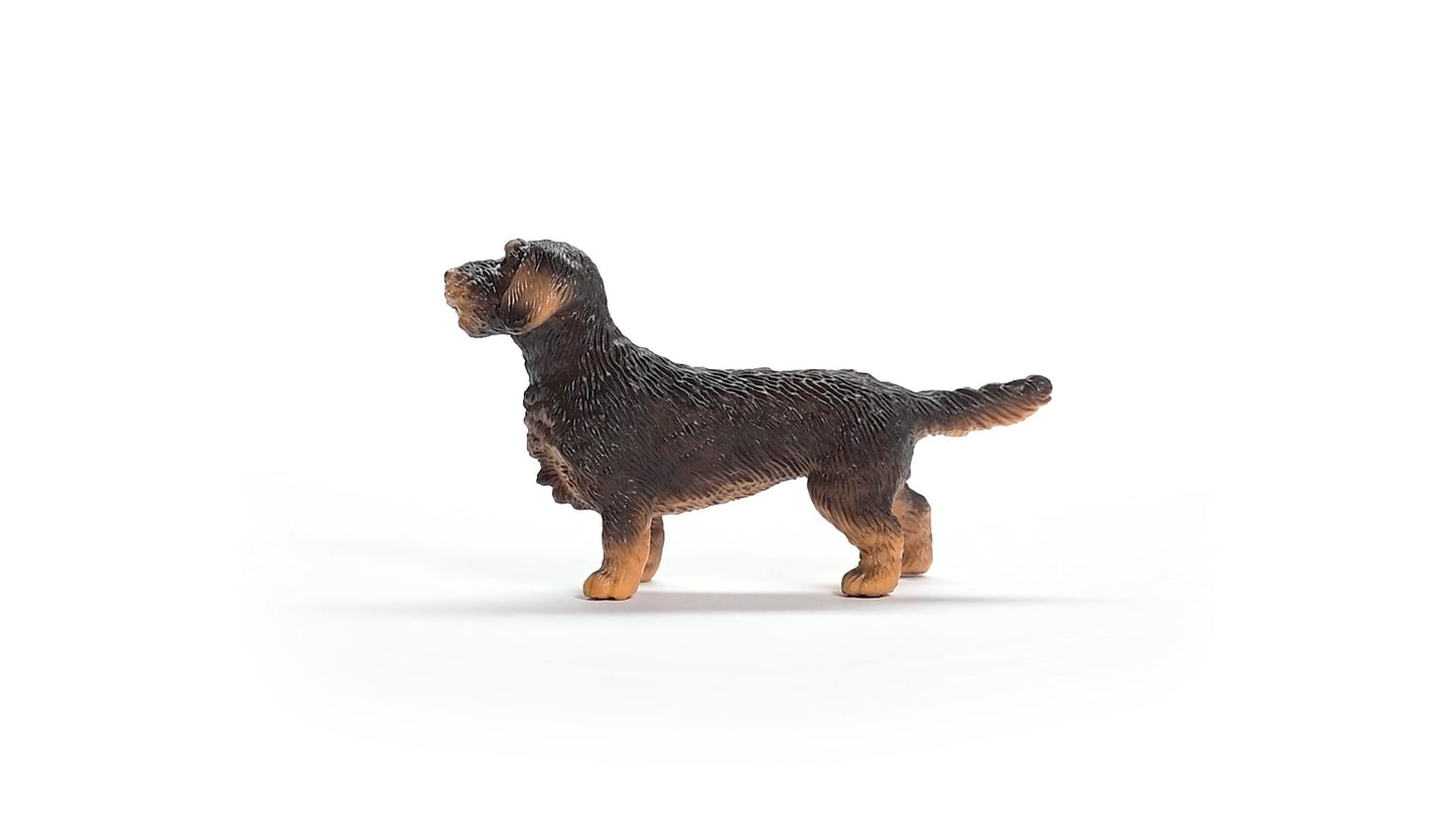 Schleich Farm World New 2024 Farm Animal Toy Wire Haired Dachshund Dog Toy Figurine