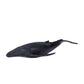 Mojo Humpback Whale Realistic International Wildlife Hand Painted Toy Figurine