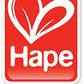Hape Qubes Wooden Magnetic Classic Train Set L: 1.6, W: 1.6, H: 12.2 Inch