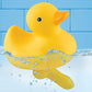 Ghi Duck With A Dick