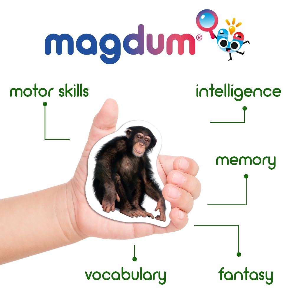 110 Fridge Magnets For Toddlers In Gift Tin Box Kids Magnets For Fridge - Toddler Magnets For Refrigerator - Magnetic Animals - Fridge Magnets For Kids - Animal Magnets - Toddler Fridge Magnets