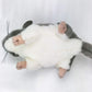 Tammyflyfly Chinchilla 8.5 Inches, 12 Inches With Tail, 23Cm, Plush Toy, Soft Toy, Stuffed Animal