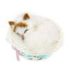 Coolayoung Sleeping Cat In Basket Doll Toy, Kitten In Basket With Meows Sounds Decor For Office Desk Hand Toy Gift For Kids Boys Girls