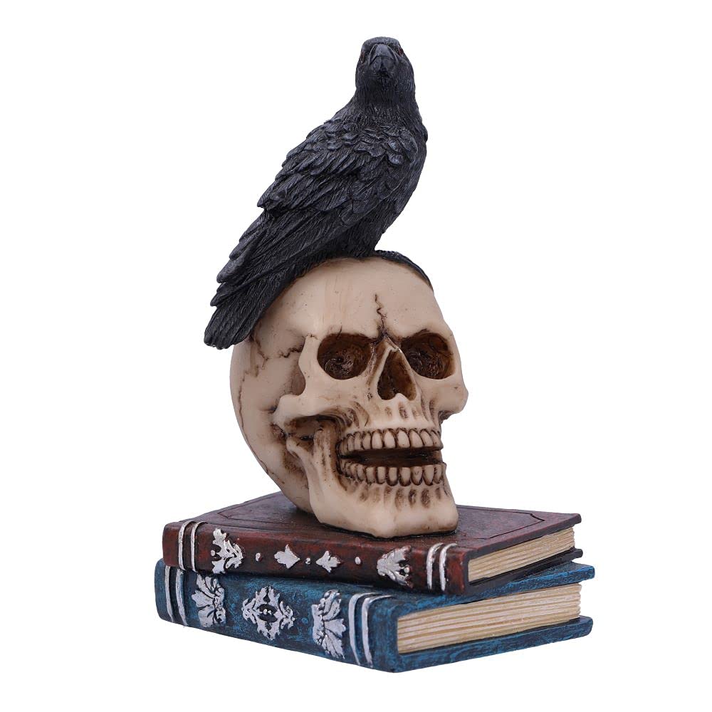 Nemesis Now Raven's Spell 10.3cm  Black U5744U1