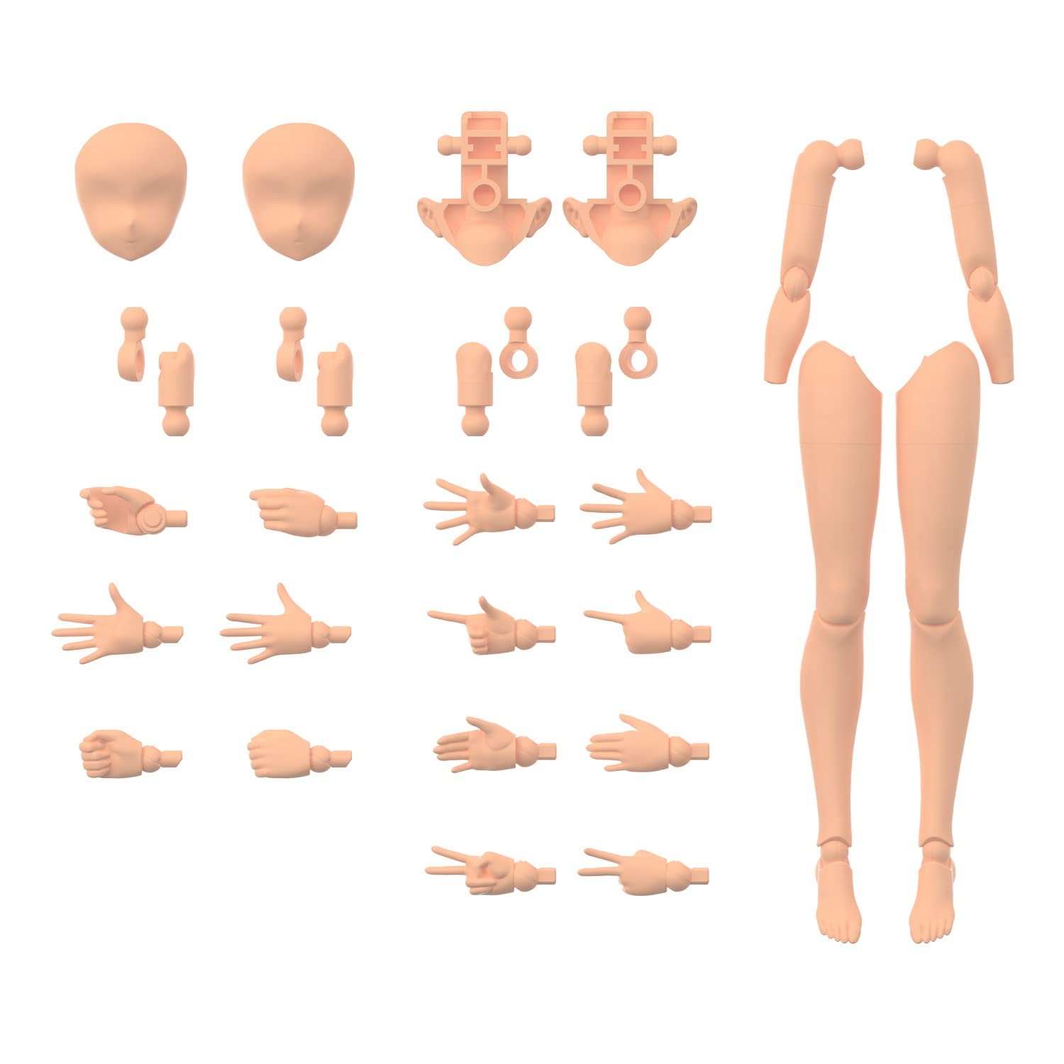 Bandai Hobby - 30Ms Option Body Parts Arm Parts & Leg Parts [Color C ...