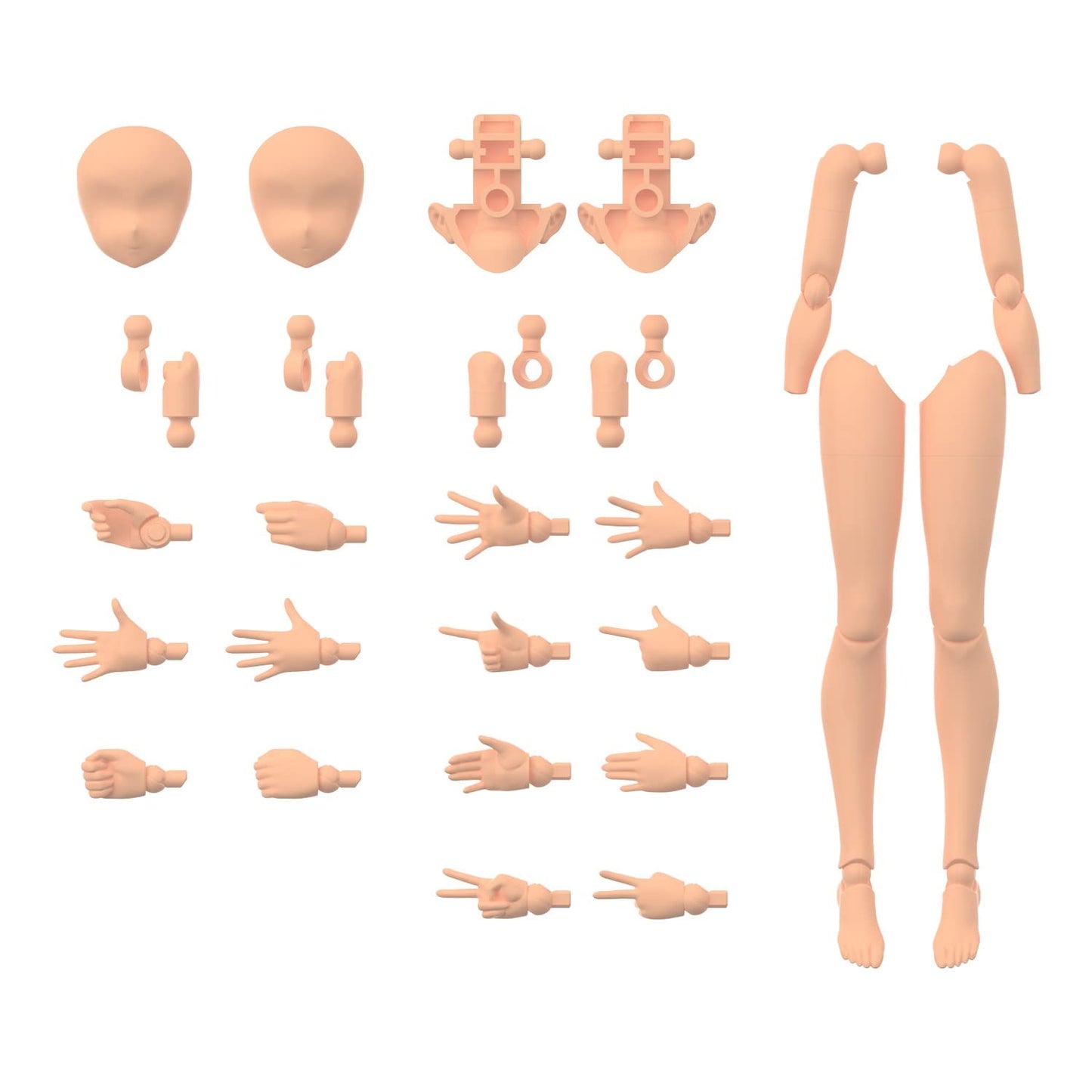 Bandai Hobby - 30Ms Option Body Parts Arm Parts & Leg Parts [Color C]