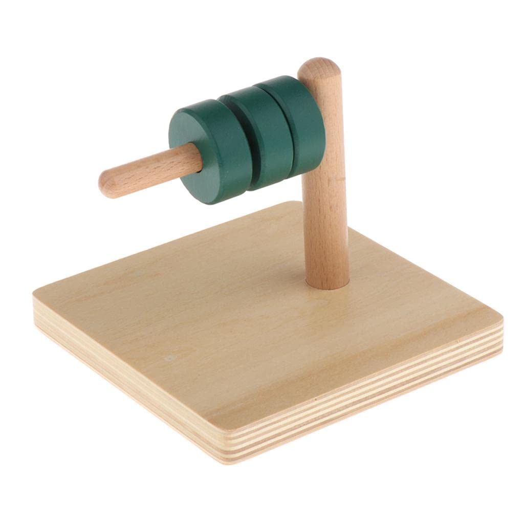 Enakshi (Label) Creations Funny Wood Montessori Discs Geometry Toys For Kids Math Handcrafted Greenwooden Toys Toys & Hobbies|Pr