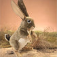 Folkmanis Jack Rabbit Hand Puppet