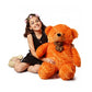 CLICK4DEAL Cotton Rt Toys Soft Teddy Bear, 3ft (Brown)