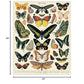 Cavallini Vintage Jigsaw Puzzle - 1000 Pieces, 55x70cm, Cardstock, Multi Color, Model PZL/BTR