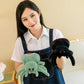 Joson 10 Inch Halloween Cartoon Spider Plush Toy, Cute Spider Plush Toy, Boys Girls Bedroom Party Decoration (Green)