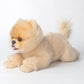 HOKESS 16 Inch Pomeranian Stuffed Animals- Lifelike Plush Pomeranian Dog-Handmade Soft Simulation Pet Dog-Toy Gifts for Kids Girls Boys Baby Birthday