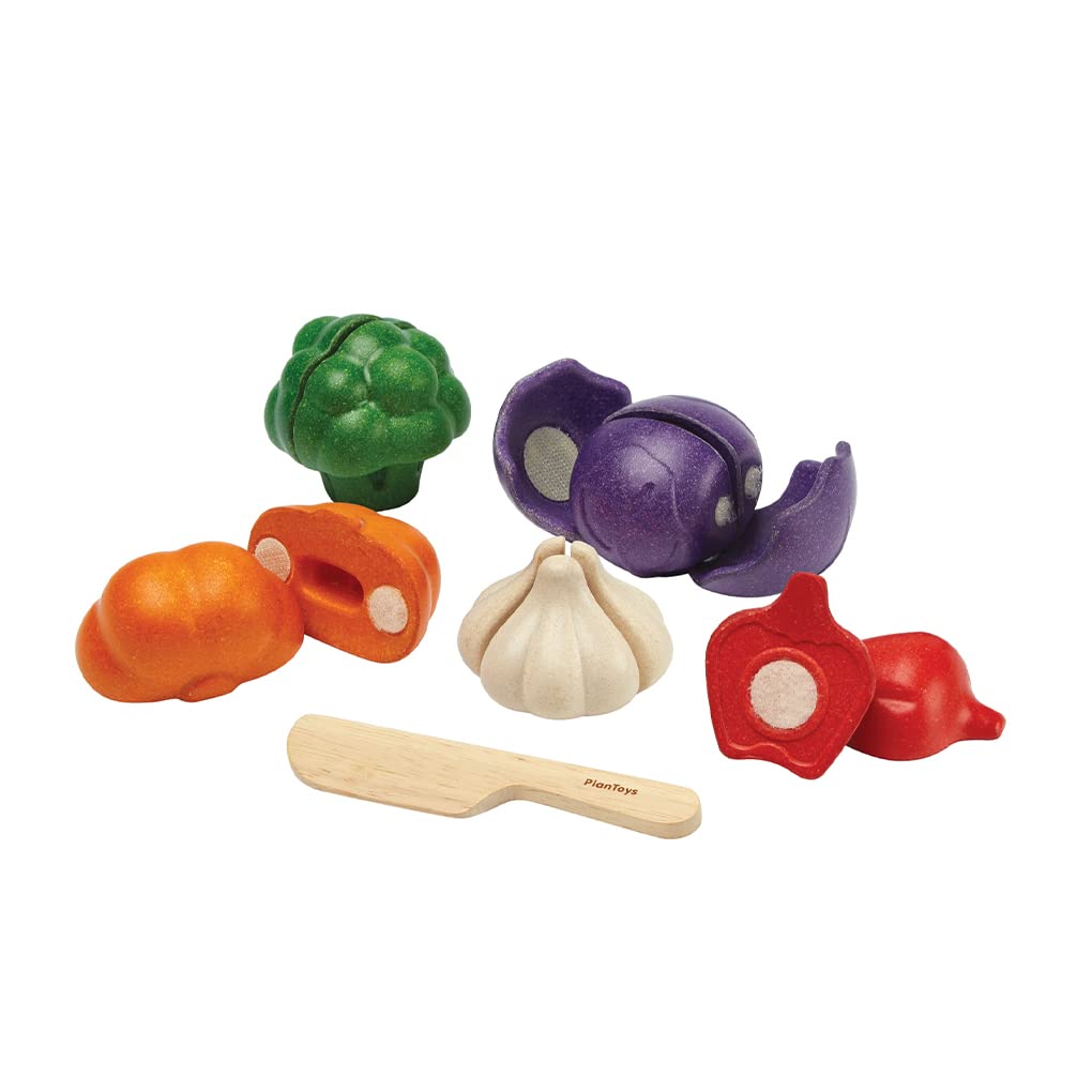 Plan Toys Plantoys- Eco-Friendly Educational Toy, Multi-Color (3431)
