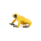 Papo Equatorial Yellow Frog Figure, Multicolor, Plastic, Model 50174