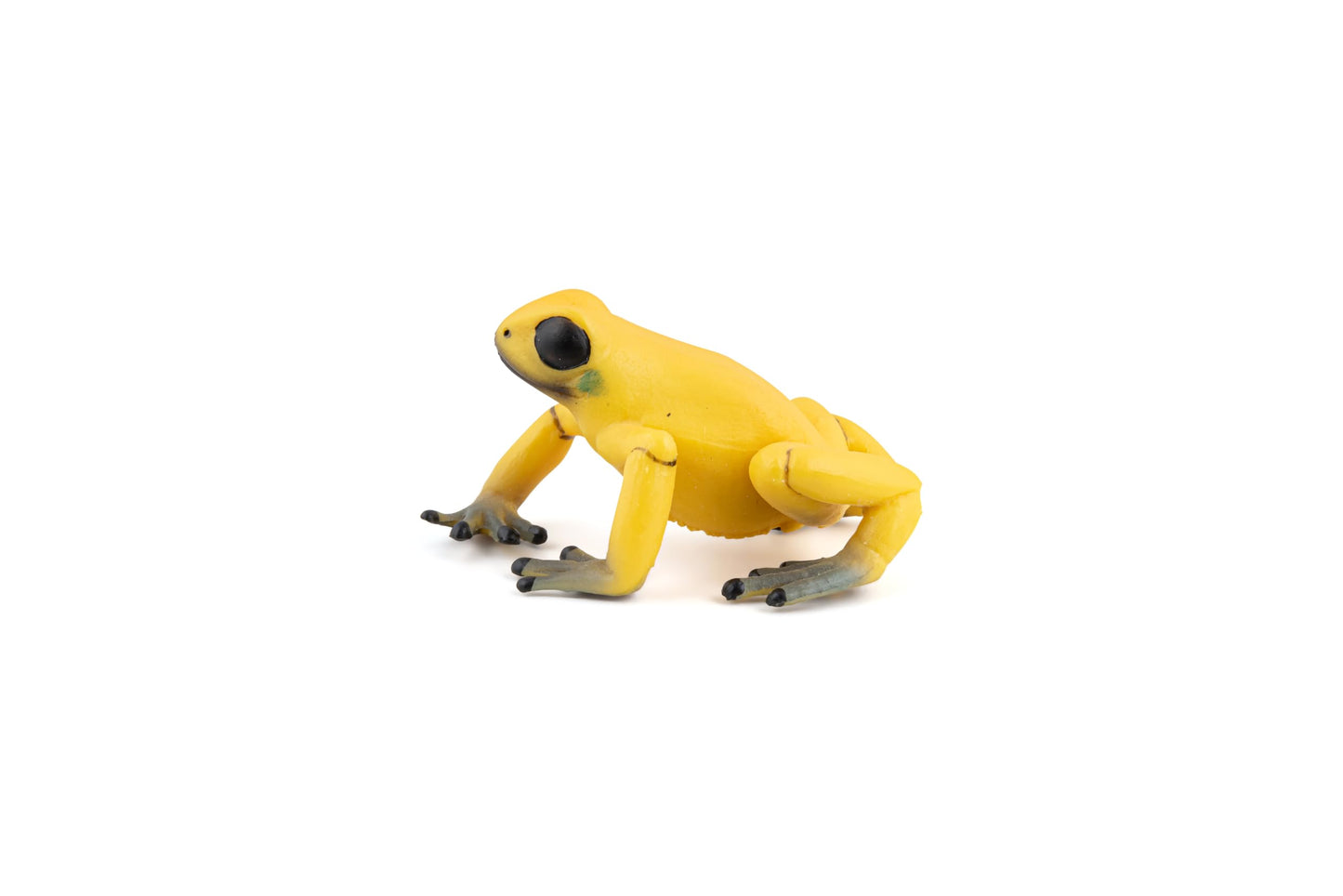 Papo Equatorial Yellow Frog Figure, Multicolor, Plastic, Model 50174