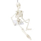 Evotech Mini Human Skeleton Model For Anatomy, 17.7'' Full Body Human Skeleton Model With Movable Arms And Legs On Plastic Base For Medical Teaching Learning, Kids Learning Education Display Tool