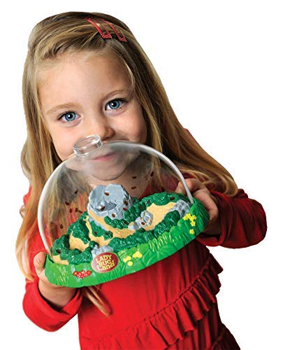 Insect Lore Ladybug Land Kit - Model 2100 for Kids, Educational Insect Habitat