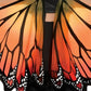 Bold & Beautiful Orange Monarch Wings - 24.5' X 53' (1 Count) - Perfect For Captivating Costumes And Stunning Photoshoots