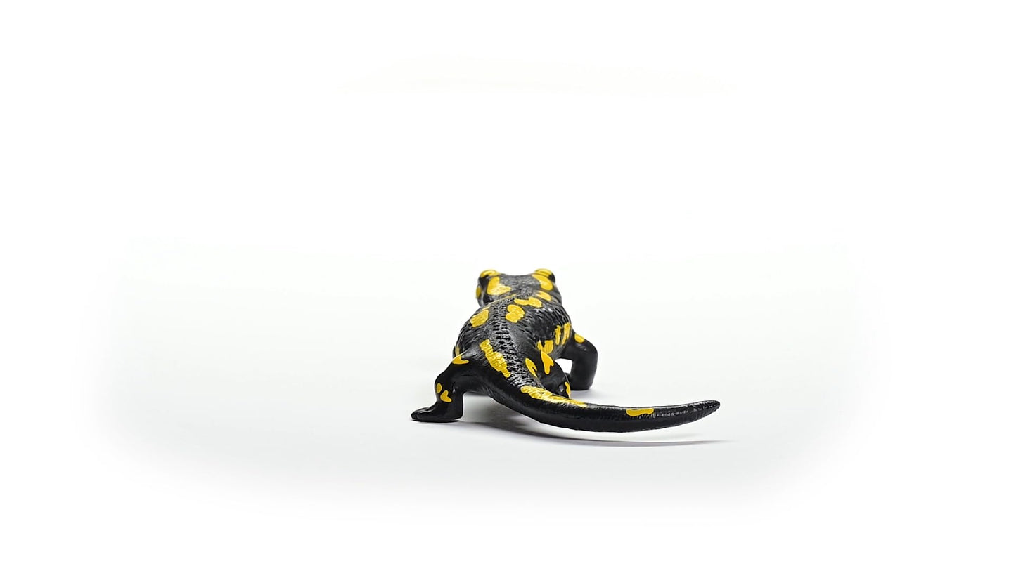 Schleich Wild Life New 2024 Wild Animal Toy Fire Salamander Lizard Figurine