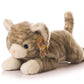 12 Inch Cute Cat Plush Toys Kitten Stuffed Plush Toys Animal Kitten Doll (Gray)