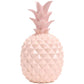 Wait Fly 5 X 9 Inches Elegant Pineapple Shape Resin Piggy Bank Coin Bank Money Bank