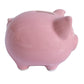 Pink Piggy Banks  Piggy Bank for Girls Boys Kids A New Piggy Bank for Boys Girls Kids mature-themed Coin Bank (Pink)