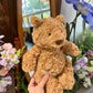 EASELR 10" Brown Bear Plush Toy, Soft Cotton Stuffed Animal Gift for Kids, Girlfriend, Birthday, Christmas
