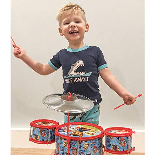 What Kids Want Paw Patrol Drum Kit Set