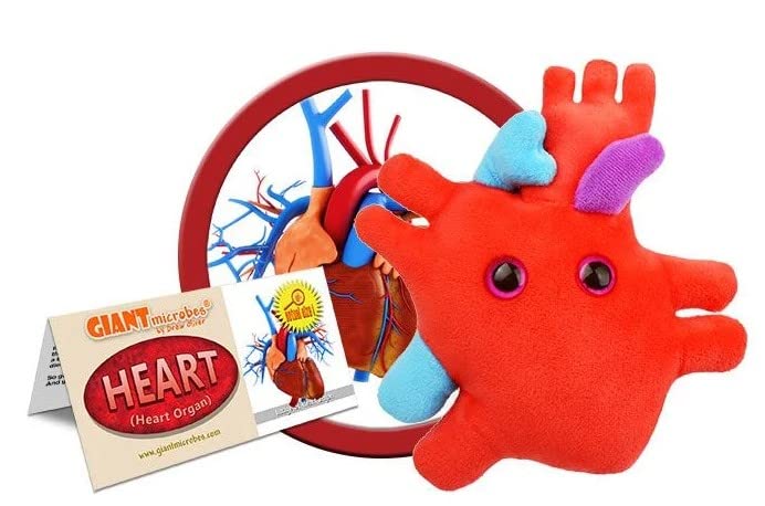 GIANTmicrobes Heart Plush Stuffed Animal, Medium Red Anatomical Heart Toy, Model GM052, Perfect Gift for Cardiologists and Heart Surgery Survivors