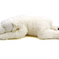 Tammyflyfly Sleep Polar Bear Plush,Cute Stuffed Animal, Plush Toy, 14 Inches Soft Toy