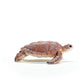 Schleich Wild Life New 2024 Wild Animal Toy Hawskbill Sea Turtle Ocean Animal Figurine