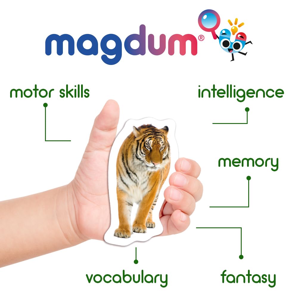 Magdum 19 Fridge Magnets For Toddlers Zoo Photo Kids Magnets For Fridge - Toddler Magnets For Refrigerator - Magnetic Animals - Fridge Magnets For Kids - Animal Magnets - Toddler Fridge Magnets