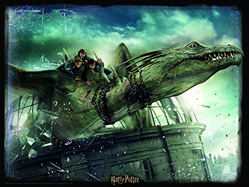 Harry Potter Norbert Amd Hermoine Granger 3D Jigsaw 500 Piece Multi-Colour