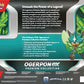 Pok?mon TCG: Ogerpon ex enhanced Collection (3 Foil Cards & 6 Boosters)