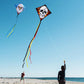 Honbo Beach Eddy Kites For Adults Easy To Fly,Eagle+Skull Diamond Kite For Kids Ages 4-10, Kite Handle(Eagle+Skull)