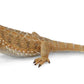 Collecta Bearded Dragon Lizard Toy Figure - Authentic Hand Painted Model , Tan , 1.6 Inch
