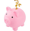 Rachan Large Piggy Bank For Boys And Girls,Unbreakable Plastic Pig Money Banks,Shatterproof Coin Bank For Kids Birthday Festival