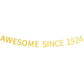 Awesome Since 1924 Banner Pre-Strung Happy 100Th Birthday Banner Gold Glittery 100 One Hundred Years Old Birthday Party Decorati