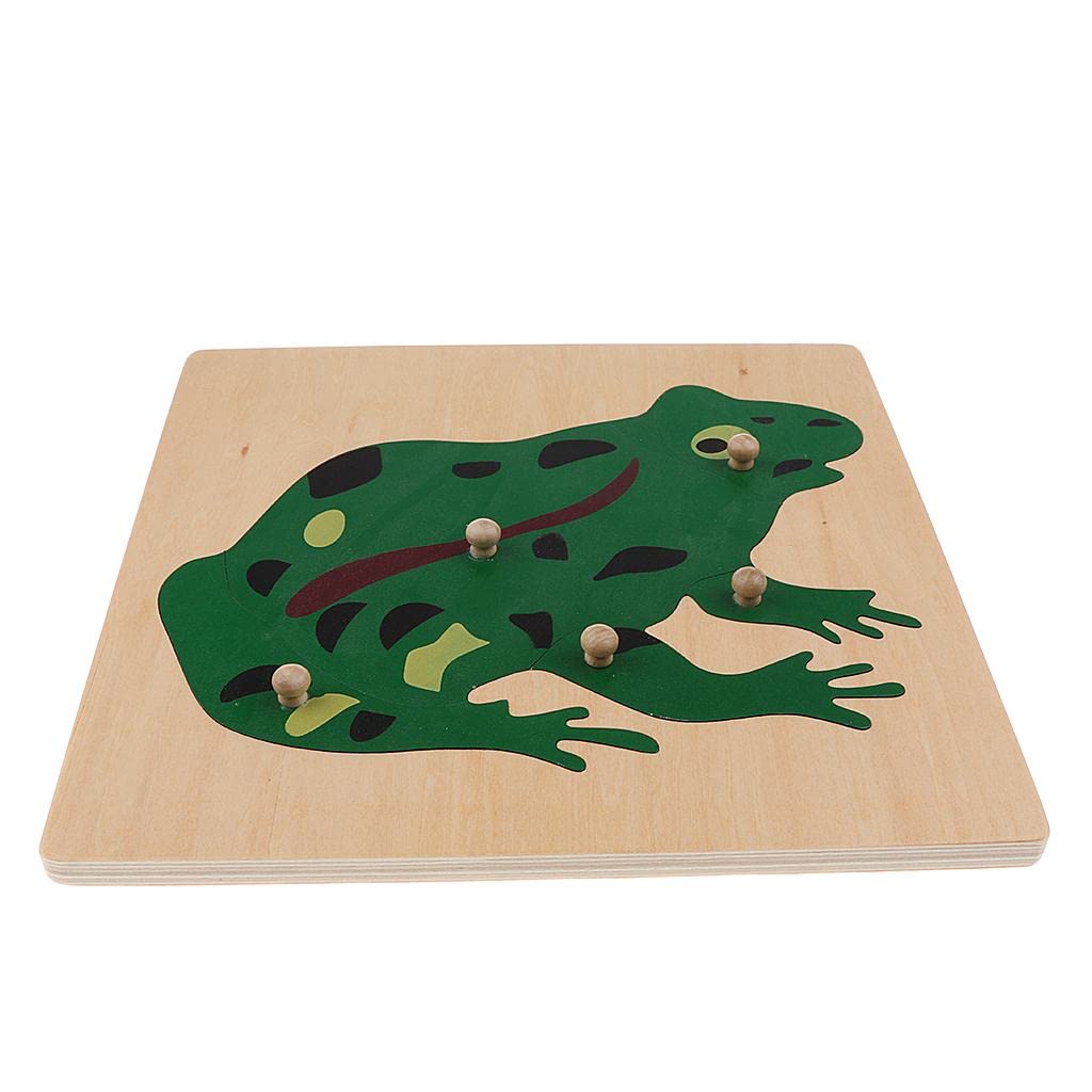CALANDIS?Children Wooden Montessori Animal Peg Jigsaw Puzzle Toy Frog | Preschool Toys & Pretend Play