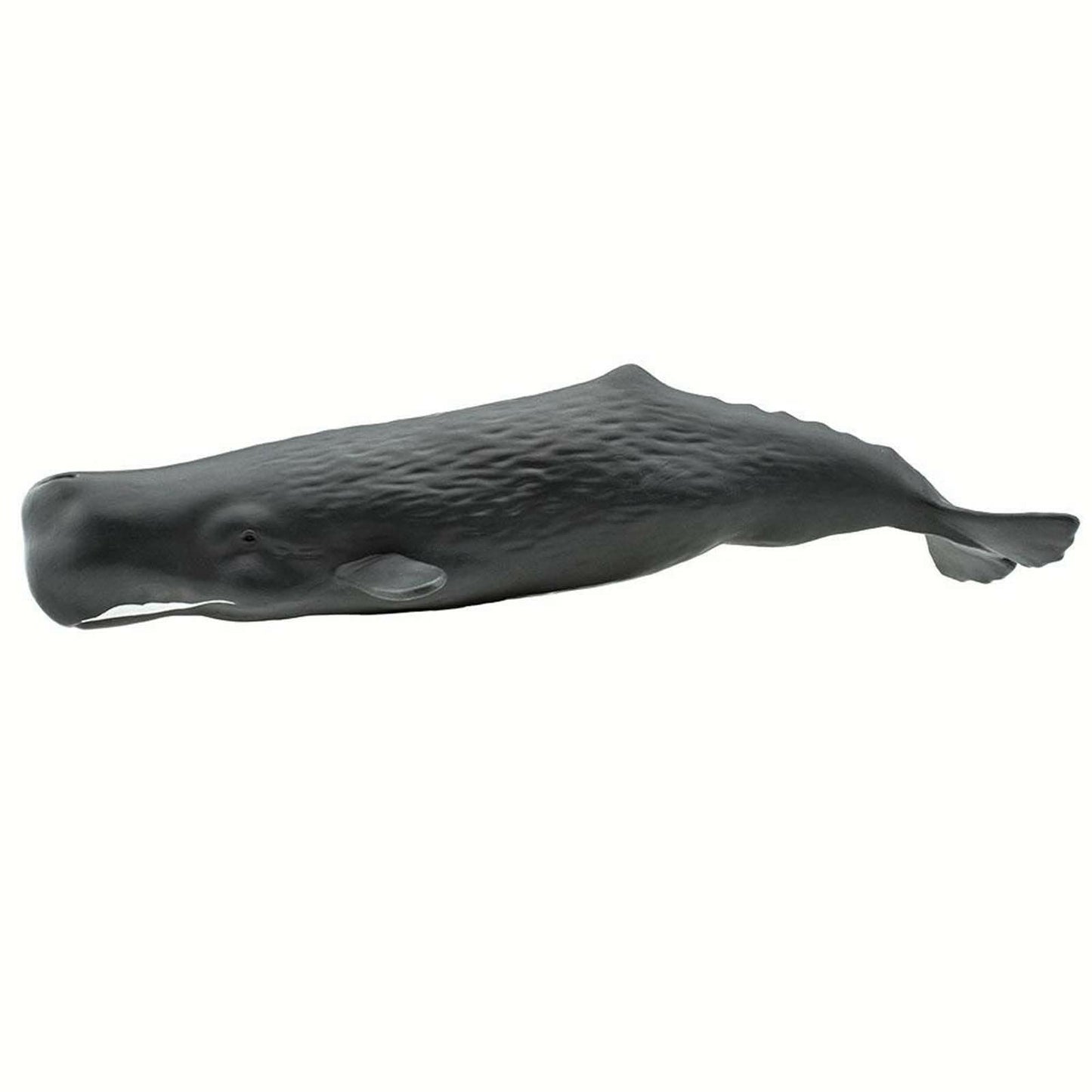 Safari Ltd. Sperm Whale Figurine - 9" Lifelike PVC Ocean Animal Toy for Kids - Multicoloured