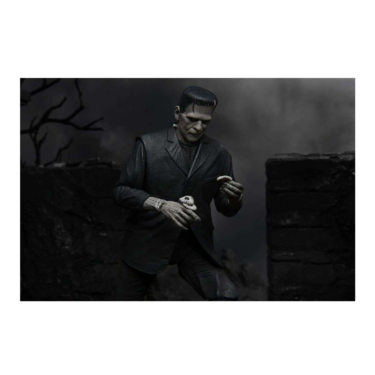 Neca Universal Monsters 7-Inch Ultimate Frankenstein Monster Action Figure (Black/White)