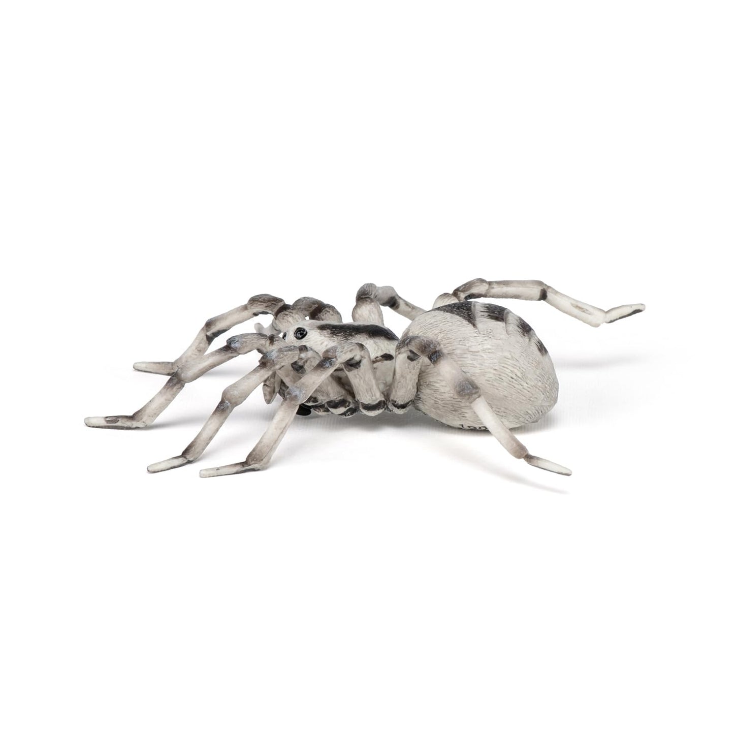 Papo -Hand-Painted - Figurine -Wild Animal Kingdom - Tarantula -50190 -Collectible - For Children - Suitable For Boys And Girls- From 3 Years Old