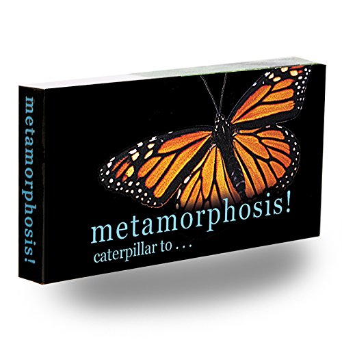 Fliptomania Caterpillar to Monarch Butterfly Flipbook - Medium White Paper Model 402BFLY