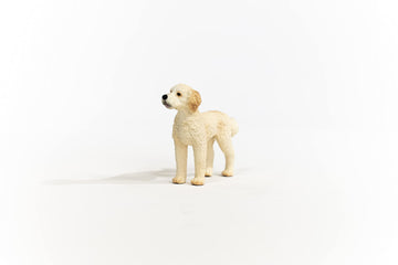 Schleich Farm World Goldendoodle Dog Figurine - Highly Detailed And Durable Animal Toy, Fun And Educational Play For Boys And Girls, Gift For Kids Ages 3+