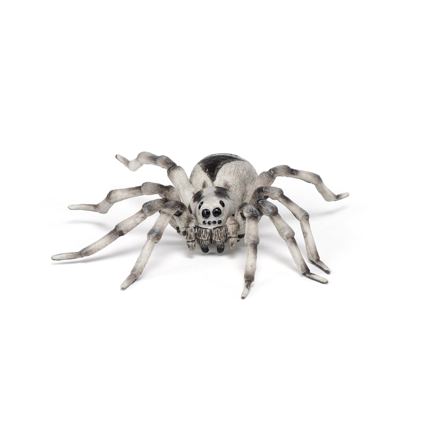 Papo -Hand-Painted - Figurine -Wild Animal Kingdom - Tarantula -50190 -Collectible - For Children - Suitable For Boys And Girls- From 3 Years Old