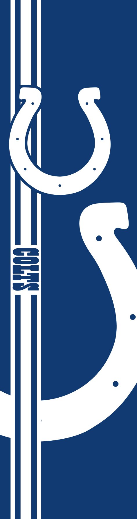 Team ProMark NFL Indianapolis Colts Door Banner