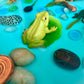 Pond Life Cycle Sensory Kit And Water Play
