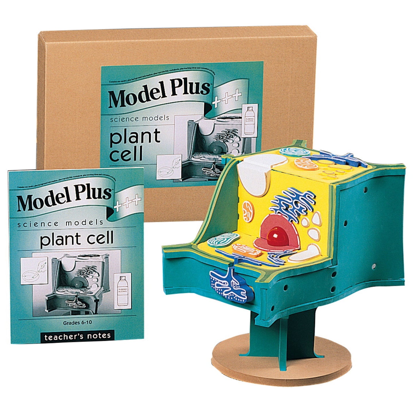 School Specialty Foam The Plant Cell Model