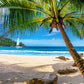 500 Piece Jigsaw Puzzle, Holidays in Seychelles, Tropical beach, Landscape puzzles,  Adult Puzzle, Castorland B-53827