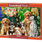 500 Piece Jigsaw Puzzle, Puppies, Laundry and Bird Antics, Puppies, Dogs, Golden Retriever, Dalmatian, Bubbles, Animal jigsaw, Adult Puzzle, Castorland  B-54152